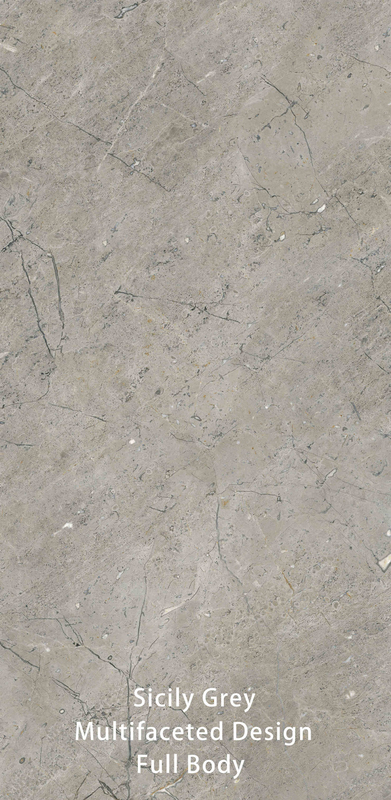 600 X 1200 MM Γκρι Βίντεζ με υφή πέτρας αντιγραφή επιφάνειας μοντέρνα πλακάκια μπάνιου